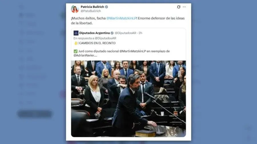 Posteo Patricia Bullrich 24062026