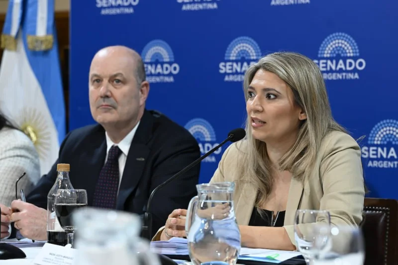 Sturzenegger defendió en el Senado la reforma de la Ley de Sociedades y el proyecto para crear empresas automatizadas con IA