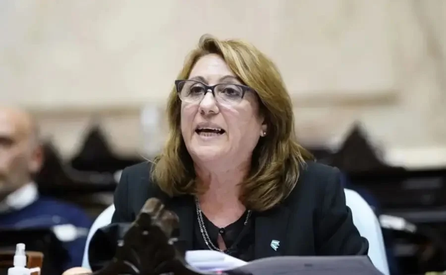 Mónica Fein (Encuentro Federal) fue designada presidenta de la comisión investigadora del fentanilo 