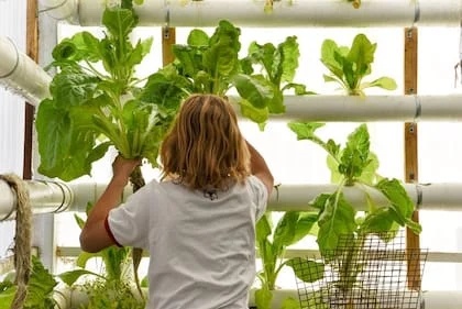 Estudiantes del Colegio San Pedro Apóstol trabajan en proyectos ambientales dentro del campus de la institución cordobesa, finalista mundial en la categoría Acción Ambiental de los World’s Best School Prizes 2026