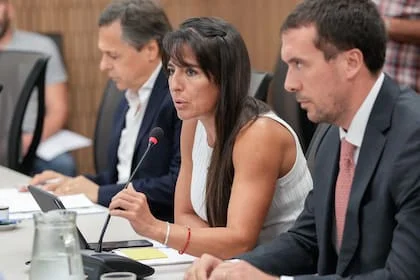 La diputada nacional Pamela Verasay preside el bloque de la UCR, que no dio quorum para la sesión especial convocada por la oposición