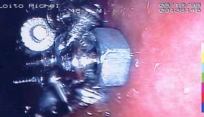 Los estudios de su tracto digestivo indicaban que tenía un sistema resistente, capaz de comer cualquier cosa