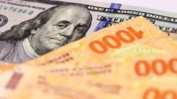 Pedro Gaite: “El principal problema que tiene la economía argentina es su bimonetarismo”
