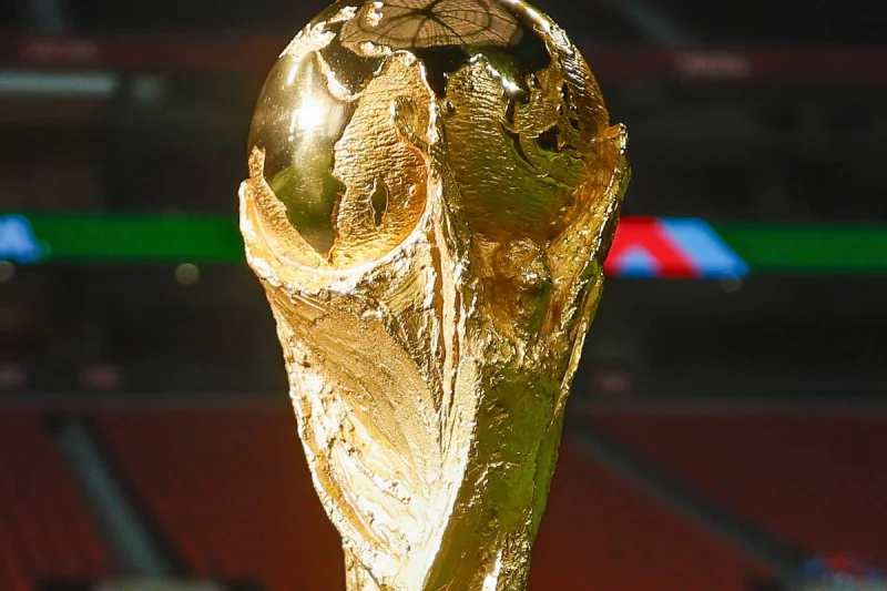 Países Bajos vence 3 a 1 a Túnez y avanza como líder del Grupo F en el Mundial