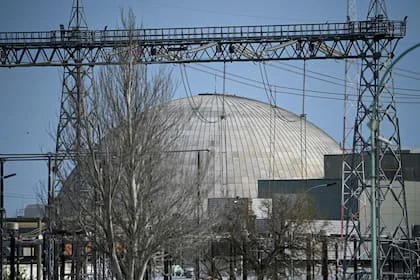 Atucha I. El conocimiento argentino en tecnología nuclear atrajo a un magnate que quiere hacer un desarrollo millonario en el país.