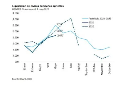 La liquidación de dólares del complejo agroexportador se mantiene por debajo de la campaña anterior y del promedio de los últimos cinco años, pese a una cosecha de mayor volumen y valor. Consultoras estiman que parte de esos ingresos podría postergarse para el segundo semestre.