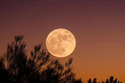 Así serán las fases de la Luna en julio de 2026