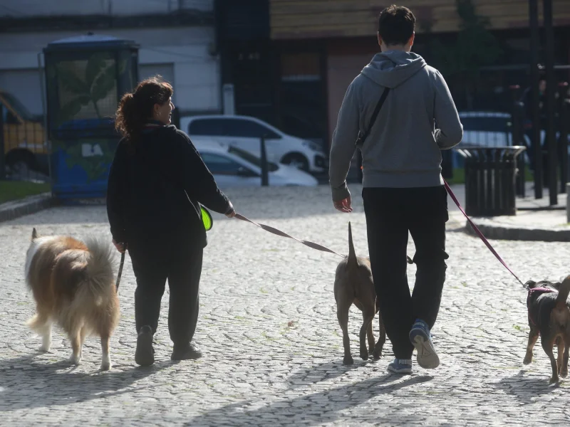 Pasear al perro: la nueva excusa para conocer gente fuera de las apps que crece en los parques y plazas