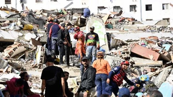 Terremoto en Venezuela: cómo es el perro cordobés entrenado para rescatar sobrevivientes bajo los escombros
