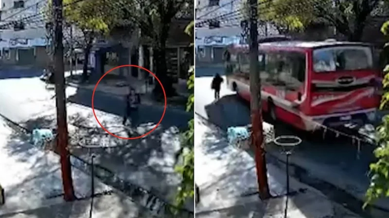 Un colectivero frustró el intento de robo a una mujer tras escuchar los gritos: “¡Ayuda, por favor!”