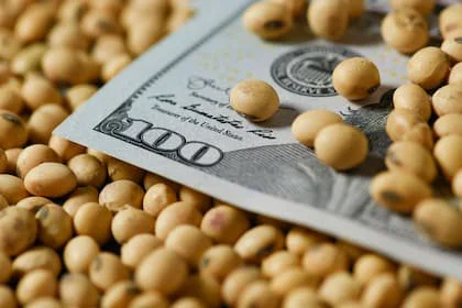 Un factor de la presión sobre el dólar fue que hubo menor liquidaciones del agro