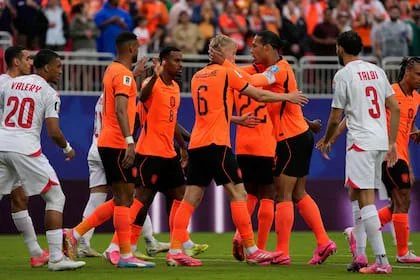 Países Bajos quedó fuera del Mundial tras ser derrotado por Marruecos (AP Photo/Charlie Riedel)