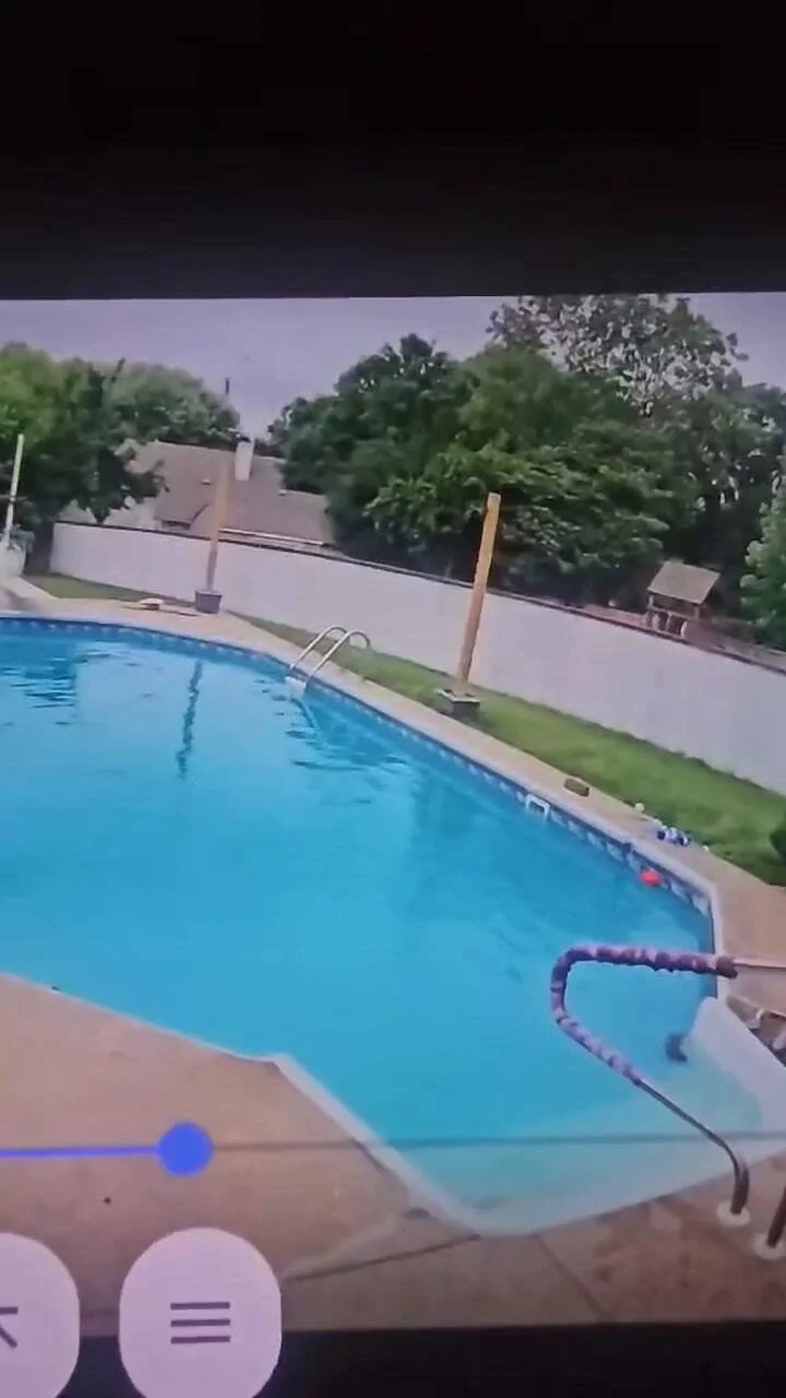 El emotivo rescate de un conejo que se hizo viral 