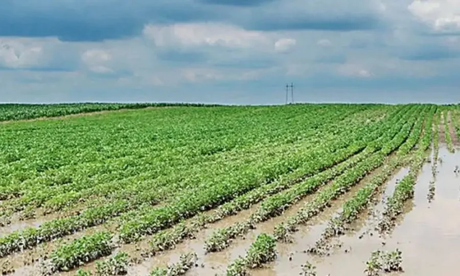Campo: anticipan cambios de clima importantes para los próximos días. 