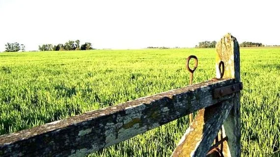 El RENATRE aumentó la prestación por desempleo rural: el monto máximo llega a $395.000 desde julio