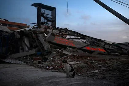Un gato permanece frente a un edificio derrumbado en Catia La Mar, estado La Guaira, Venezuela, el 1 de julio de 2026
