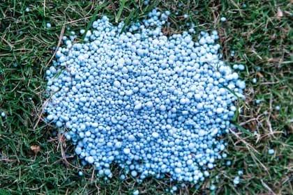 Profertil, en Bahía Blanca, es el principal productor de urea del país y analiza un proyecto para ampliar su capacidad de producción
