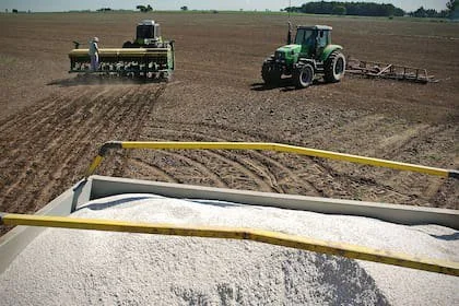 La Argentina todavía importa buena parte de los fertilizantes que consume, aunque la industria proyecta un cambio de escenario si avanzan nuevas inversiones en urea