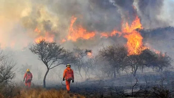 Incendios en Córdoba: la mayoría no cambió el uso del suelo, pero dejó daño ecológico