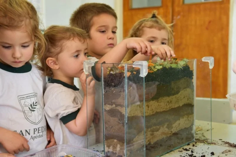 De una simple huerta escolar a un reconocimiento mundial: cómo un colegio de Córdoba quedó entre los diez mejores del planeta