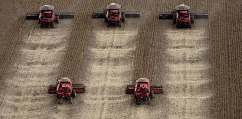 El agro argentino es el gran “gigante dormido” de la economía nacional