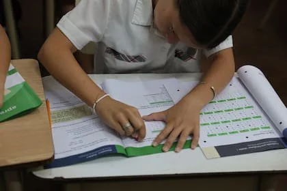 En Matemática, el 55% de los alumnos alcanzó niveles satisfactorio o avanzado, aunque uno de cada cinco permaneció por debajo del nivel básico