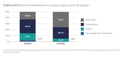 Resultados en Lengua, pruebas Aprender 2025