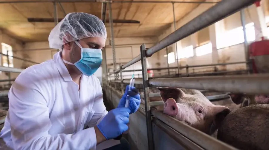 Zoonosis 02072026