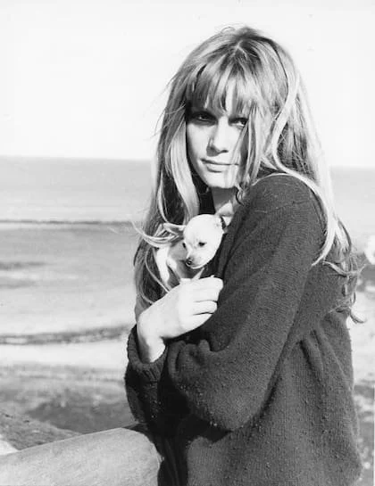 Françoise era todo lo contrario a la imagen etérea que más tarde haría famosa a su hermana Catherine Deneuve: irradiaba movimiento, humor y energía arrolladora