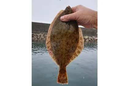El fletán fue el único pez de agua salada invocado y adorado por los ancestros noruegos