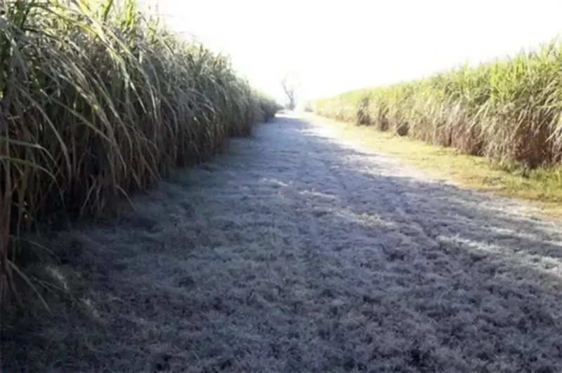 Las primeras heladas del año llegaron a la llanura y zonas productivas esta semana